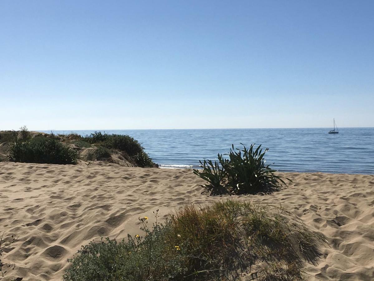 Estudio Primera Linea 50 Mtrs Playa. Fibra 600Mb Μαρμπέλλα Εξωτερικό φωτογραφία